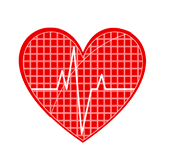 BLS CPR Class + First Aid Training